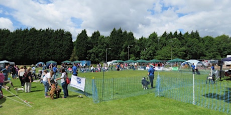 RSPCA Coventry, Nuneaton and District Branch Annual Dog Show primary image