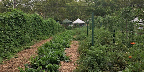 How to Join a Community Garden: An East New York Community Garden Mixer
