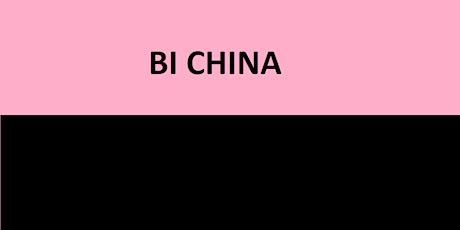 BI CHINA
