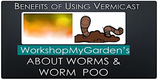 Benefits of Using Vermicast - About Worms & Worm Poo