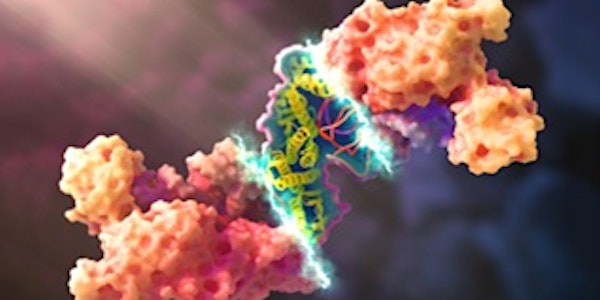 Proteins - It's Not Just For Dinner!