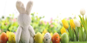 WEST ROSEVILLE COMMUNITY EASTER EGG HUNT! tickets