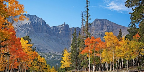 Fall Foliage in Great Basin National Park, NV, and Twin Peak Wilderness, UT