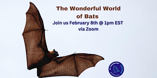 2023 CROW Speaker Series - The Wonderful World of Bats
