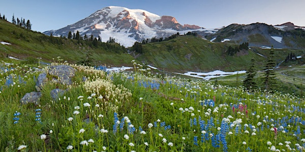Nature & Landscape Photography - LIVE w/John Greengo