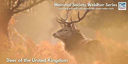 Imagen principal de TMS Webinar - Deer of the United Kingdom - Recording
