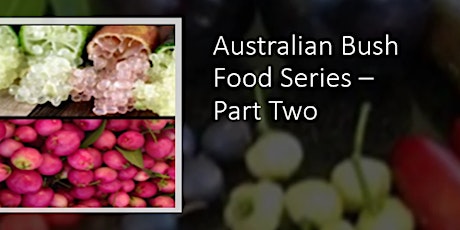 Australian Bush Foods - Part 2