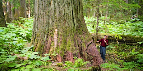Evening for BC's Ancient Inland Rainforest
