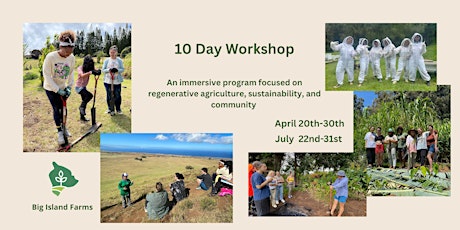 10 Day Workshop