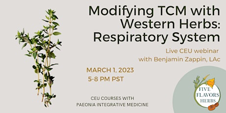 Modifying Chinese Formulas with Western Herbs: Respiratory System