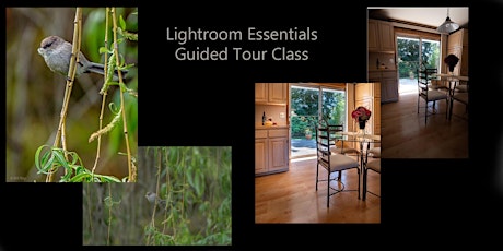 Lightroom Essentials Guided Tour