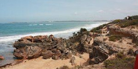 Beach Discovery Walk - Queenscliff primary image