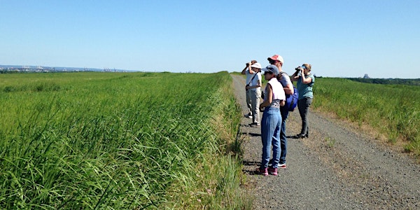 City Nature Challenge iNaturalist Photography Tour