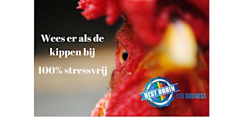 Primaire afbeelding van Wees er als de kippen bij: 100% stressvrij!