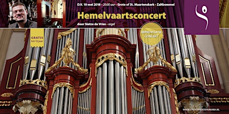 Primaire afbeelding van Orgelconcert in Maartenskerk Zaltbommel door Sietze de Vries
