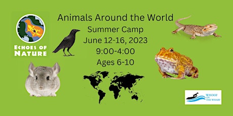 Animals Around the World Summer Camp