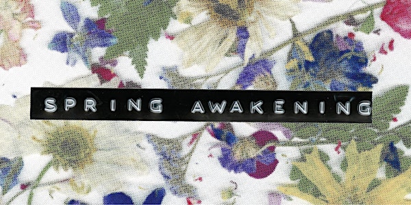 Spring Awakening Presented by The Penn State Thespians