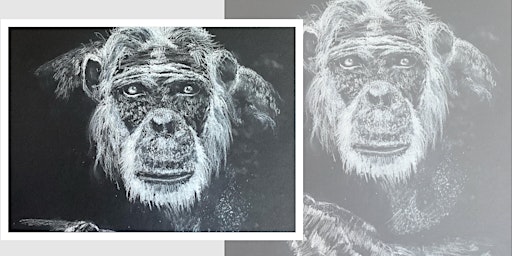 Learn White-on-Black Drawing: The Wise Ape