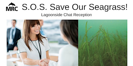 S.O.S. Save Our Seagrass! MRC Lagoonside Chat Reception
