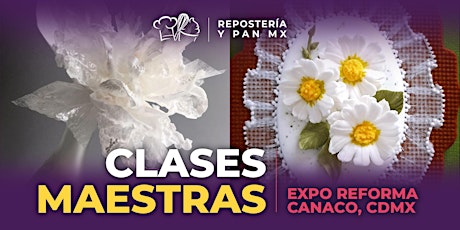 Clases Maestras en Expo Repostería Y Pan CDMX 2023