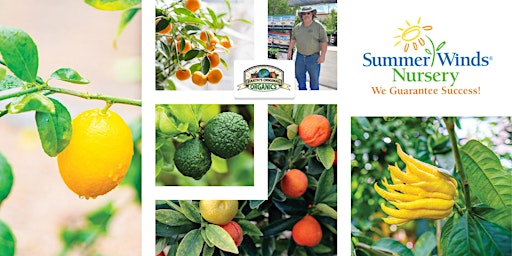 You Can Grow Delicious Citrus – with Tony Sarah  (Phoenix Store)