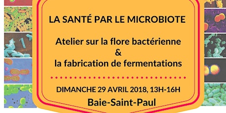 Santé par le microbiote - Atelier flore bactérienne & fabrication de fermentations primary image