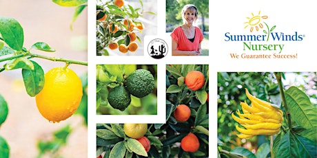 Citrus Care in the Desert with Noelle Johnson, the 'AZ Plant Lady'