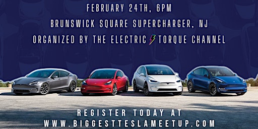 World’s Biggest Tesla Meetup & Lightshow
