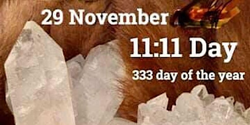 SECOND 11:11:11 Medicine Meditation (29/11/23)