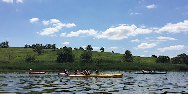 Kayak Tour