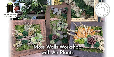 In-Person Moss Wall with Air Plant Workshop at Three Sisters Co.