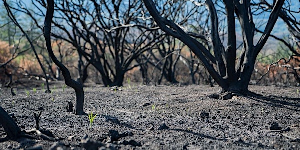 Chaparral Wildfire Walk at Glen Oaks Ranch 4-27-18