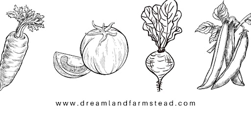 Dreamland Gardeners: Starting Seeds Inside