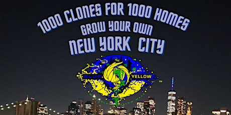 1000 CLONES FOR 1000 HOMES NYC