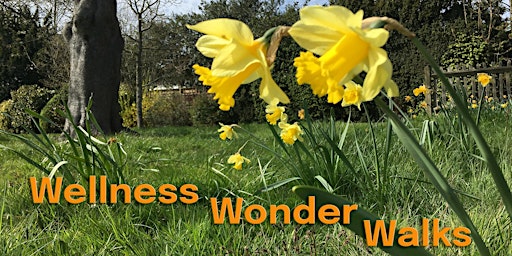 Wellness Wonder Walks - Barham Park