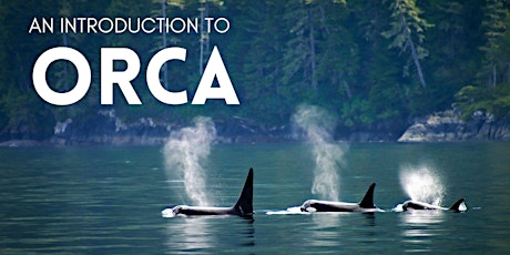 An introduction to the Orca
