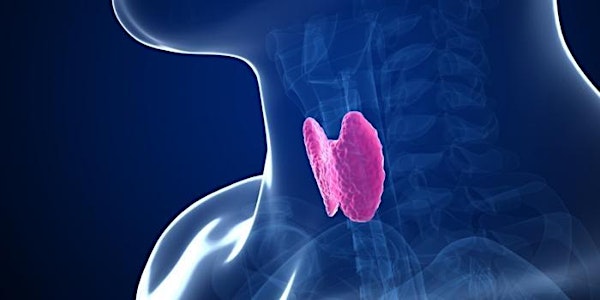 The Wellness Way Approach to The Thyroid