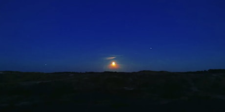 January Full Moon Movement in the Dunes