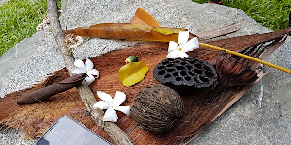 Nature Art SG