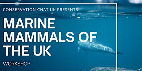 Marine Mammals of the UK - Workshop