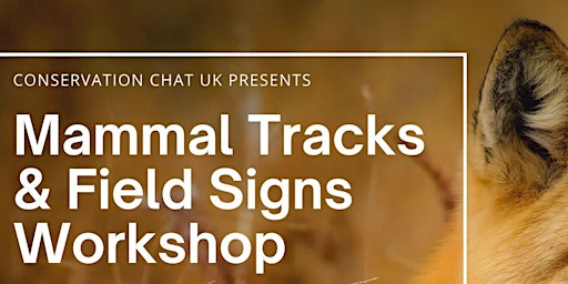 British/UK Mammals Tracking & Field Signs Winter Workshop primary image