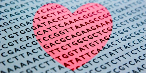 Swabbing Cheek to Cheek: Inside Personal Genetic Testing for Romance