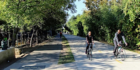 The Daily Neighbourhood Bike Challenge - High Park (Route D)