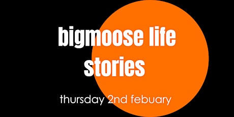 bigmoose life stories