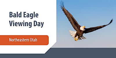 Bald Eagle Viewing Day - Northeastern Utah