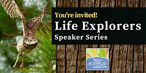 Immagine principale di Life Explorers Speaker Series: Fairy Robots of Restoration Cottage 