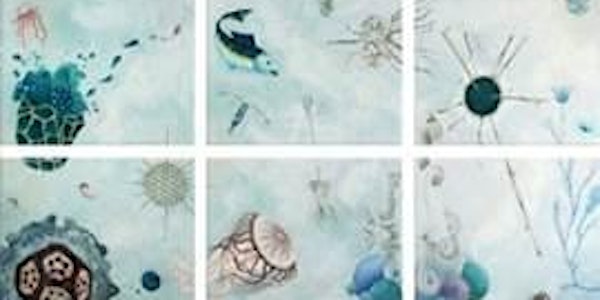 Evolution, Evolvability, and Change - First International TRANSIT workshop...