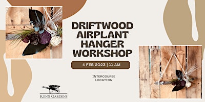 Driftwood Airplant Hanger Workshop (Intercourse Location)