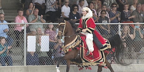 Primaire afbeelding van Sunday Horse Show May 7, 2023