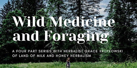 Wild Medicine and Foraging Series